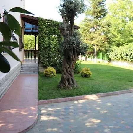Koral In Kirkpinar -