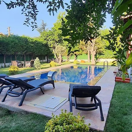 فيلة Koral In Kirkpinar -
